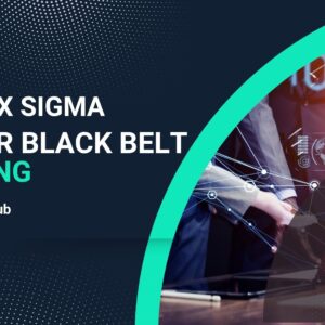 lean six sigma master bllack belt image
