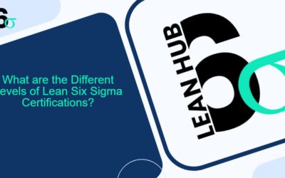 What are the Different Levels of Lean Six Sigma Certifications?