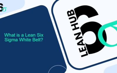 What is a Lean Six Sigma White Belt?
