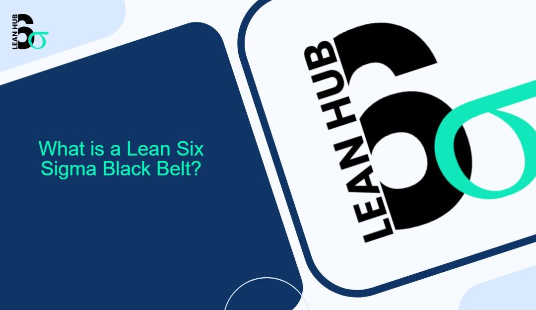 What is a Lean Six Sigma Black Belt?