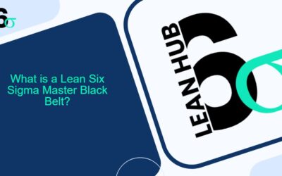 What is a Lean Six Sigma Master Black Belt?